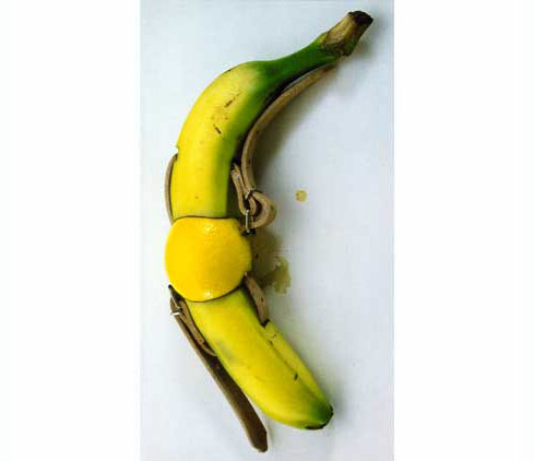 Zitrone/Banane: geschnallt